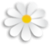 Daisy4.png
